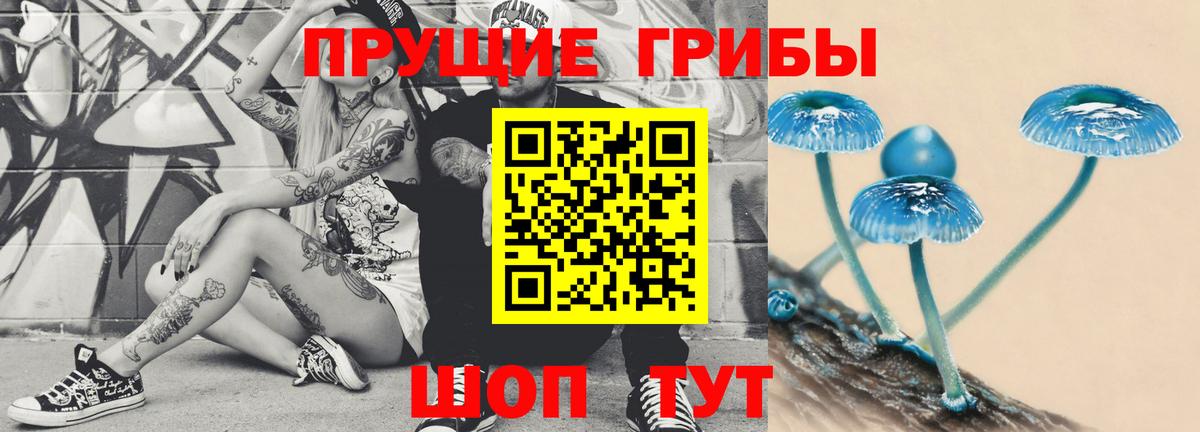 Галлюциногенные грибы Psilocybine cubensis  Вход с VPN  Галлюциногенные грибы Magic Shrooms  Тула 